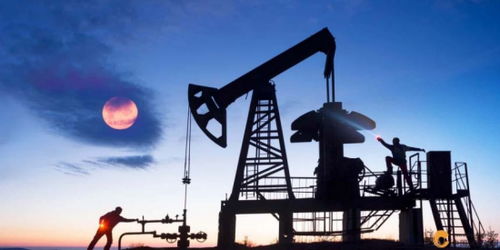 歐佩克維持產量不變疊加美聯儲風險預警，國際石油市場面臨復雜考驗